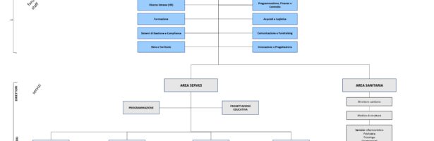 Organigramma